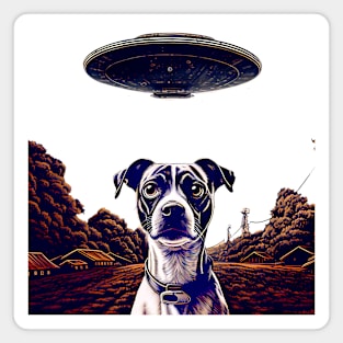 UFOs: My Dog Thinks UFOs Are Real on a light (Knocked Out) background Magnet